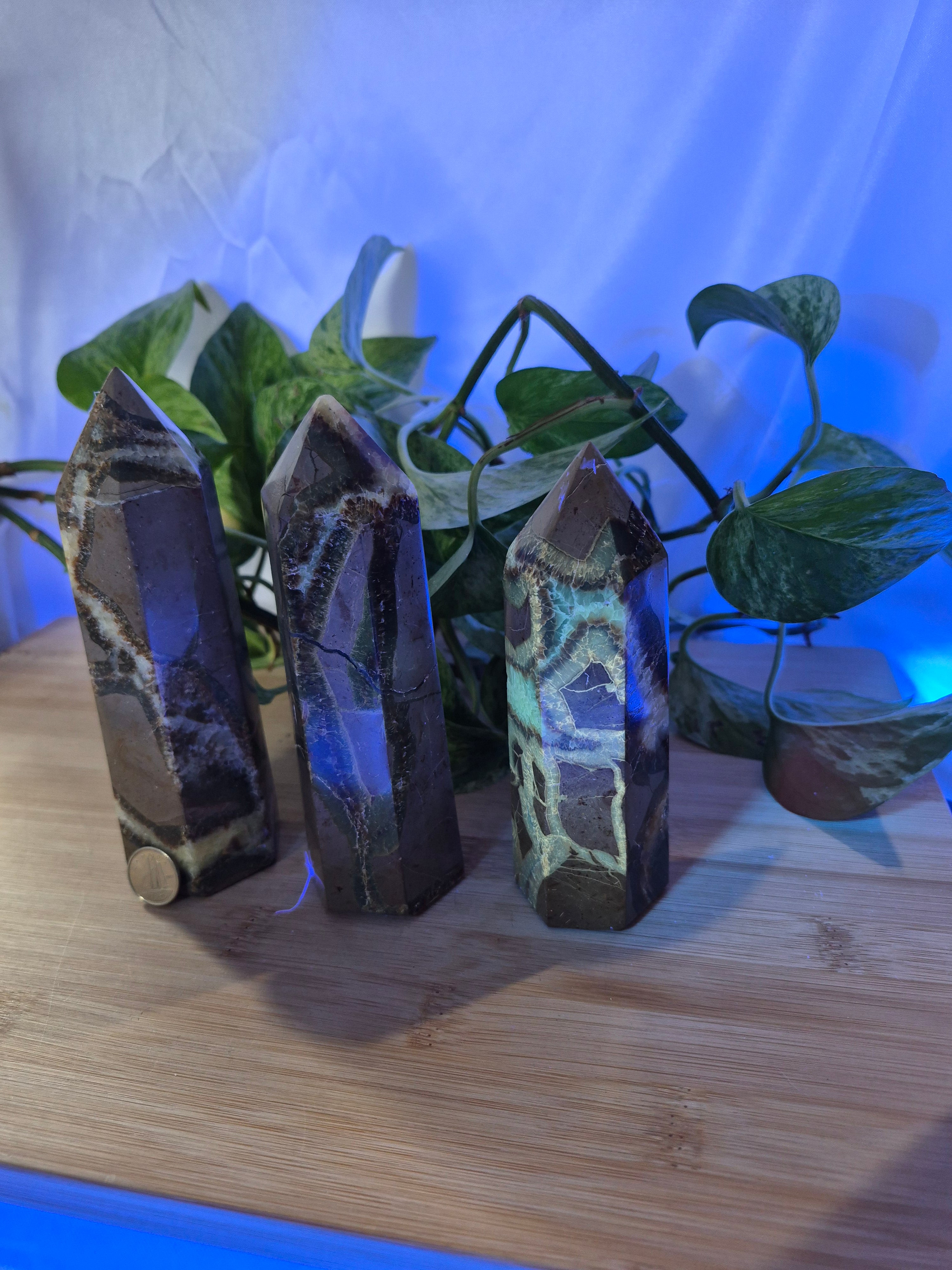 SEPTARIAN TOWER