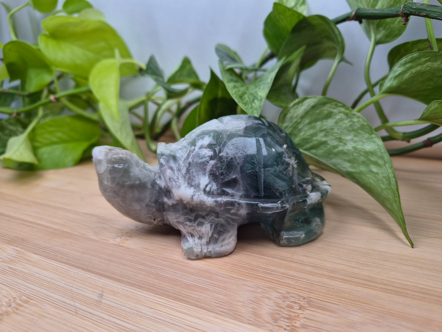 FEATHER FLUORITE TURTLE