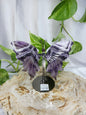 AMETHYST BUTTERFLY WINGS