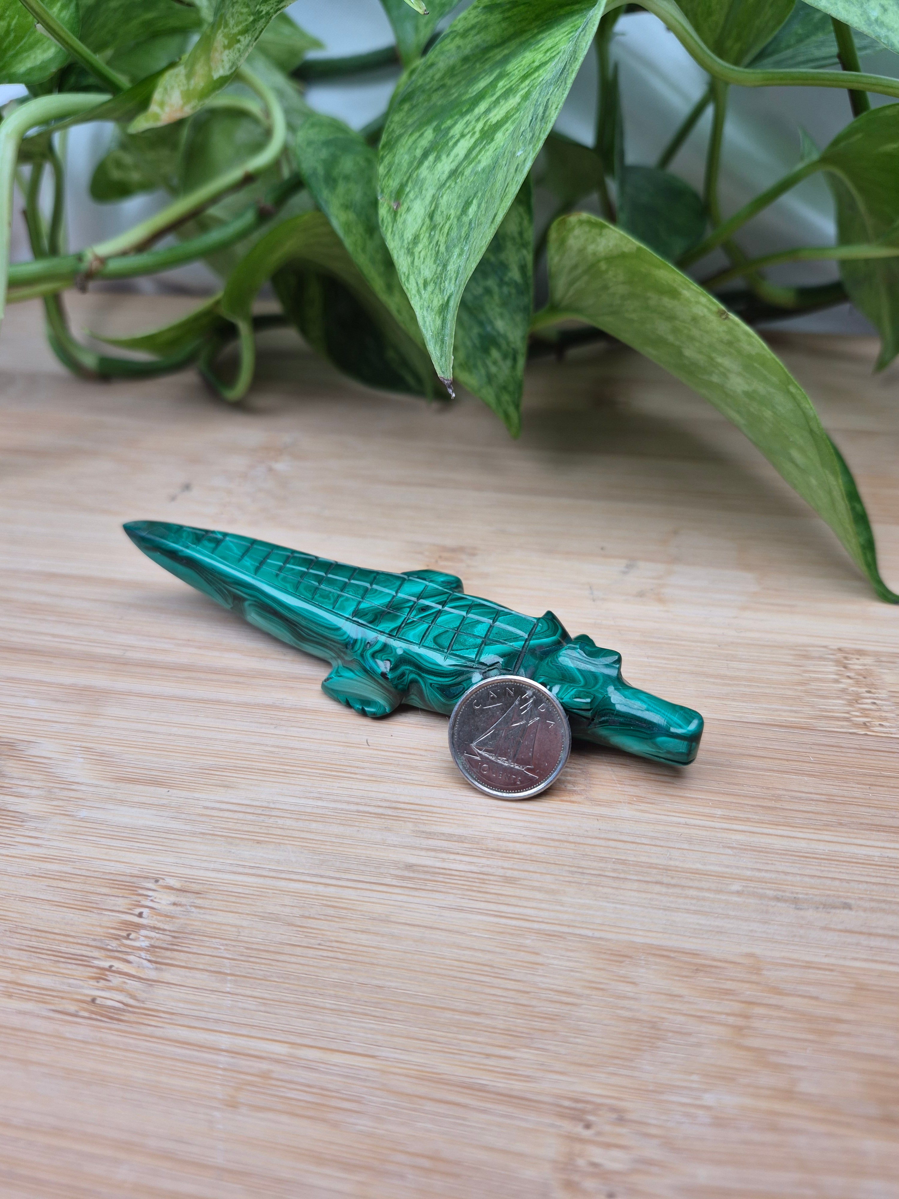 MALACHITE CROCODILE