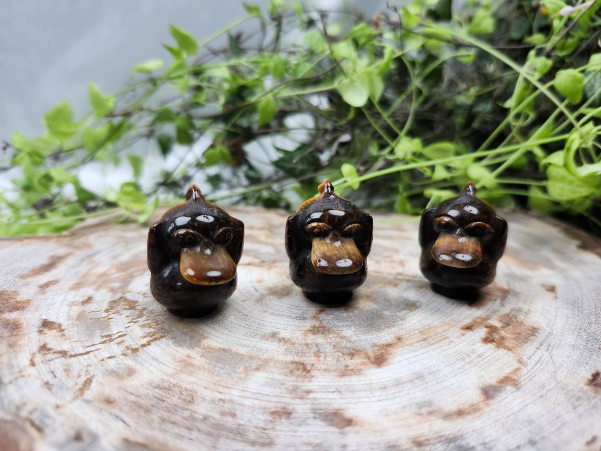 TIGERS EYE PSYDUCK