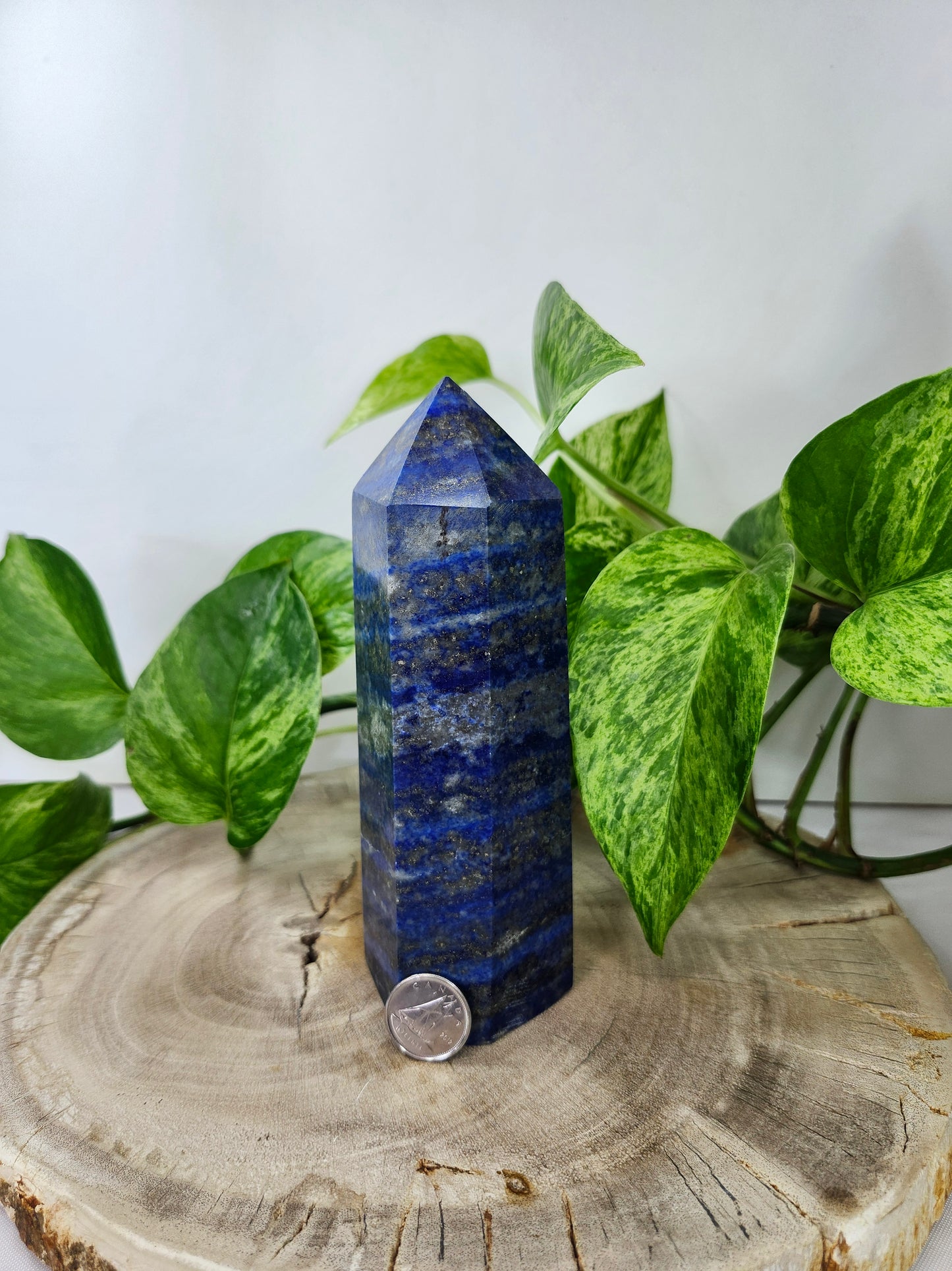 LAPIS LAZULI TOWER
