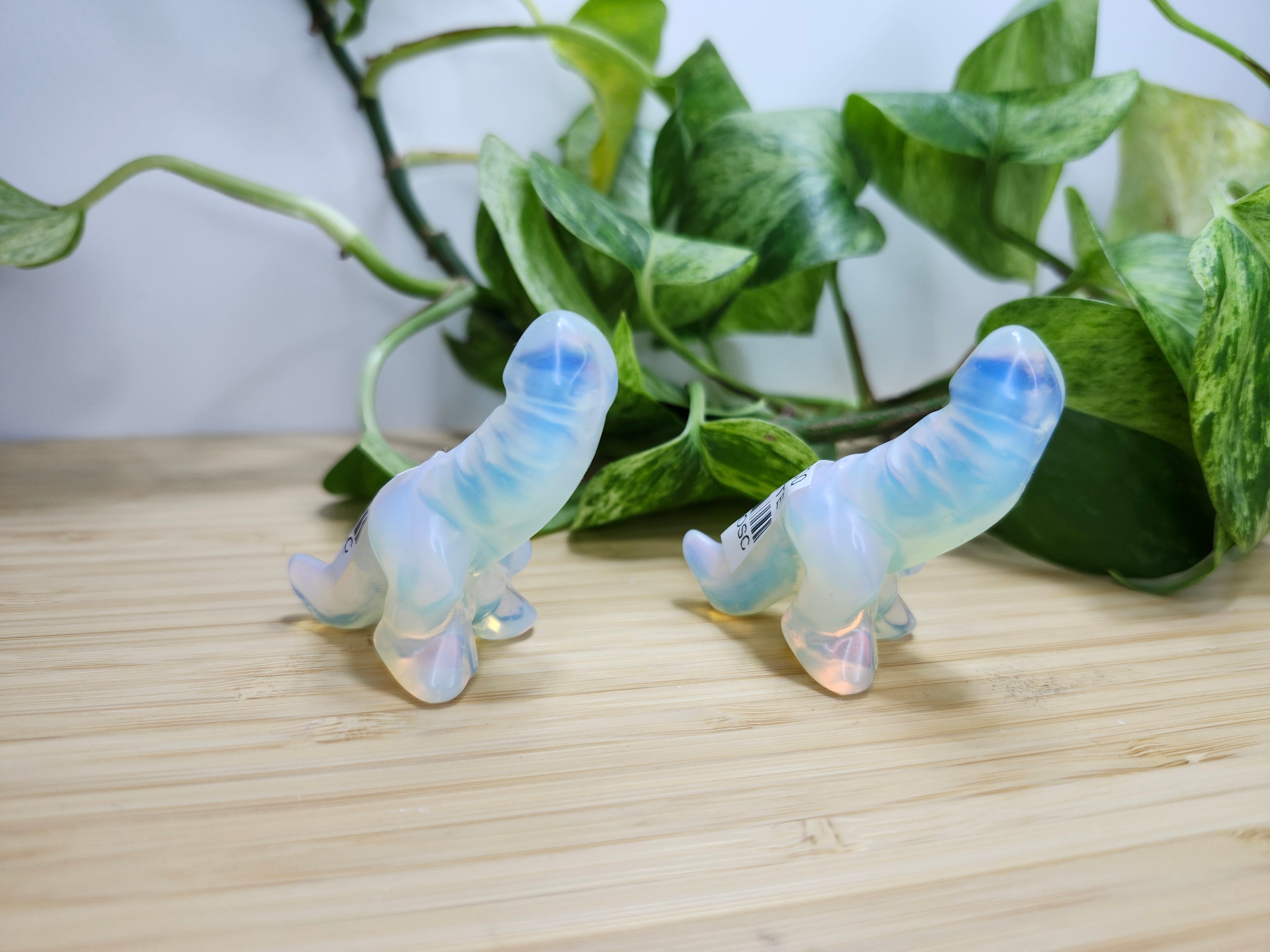 OPALITE SM DICK-A-SAURUS