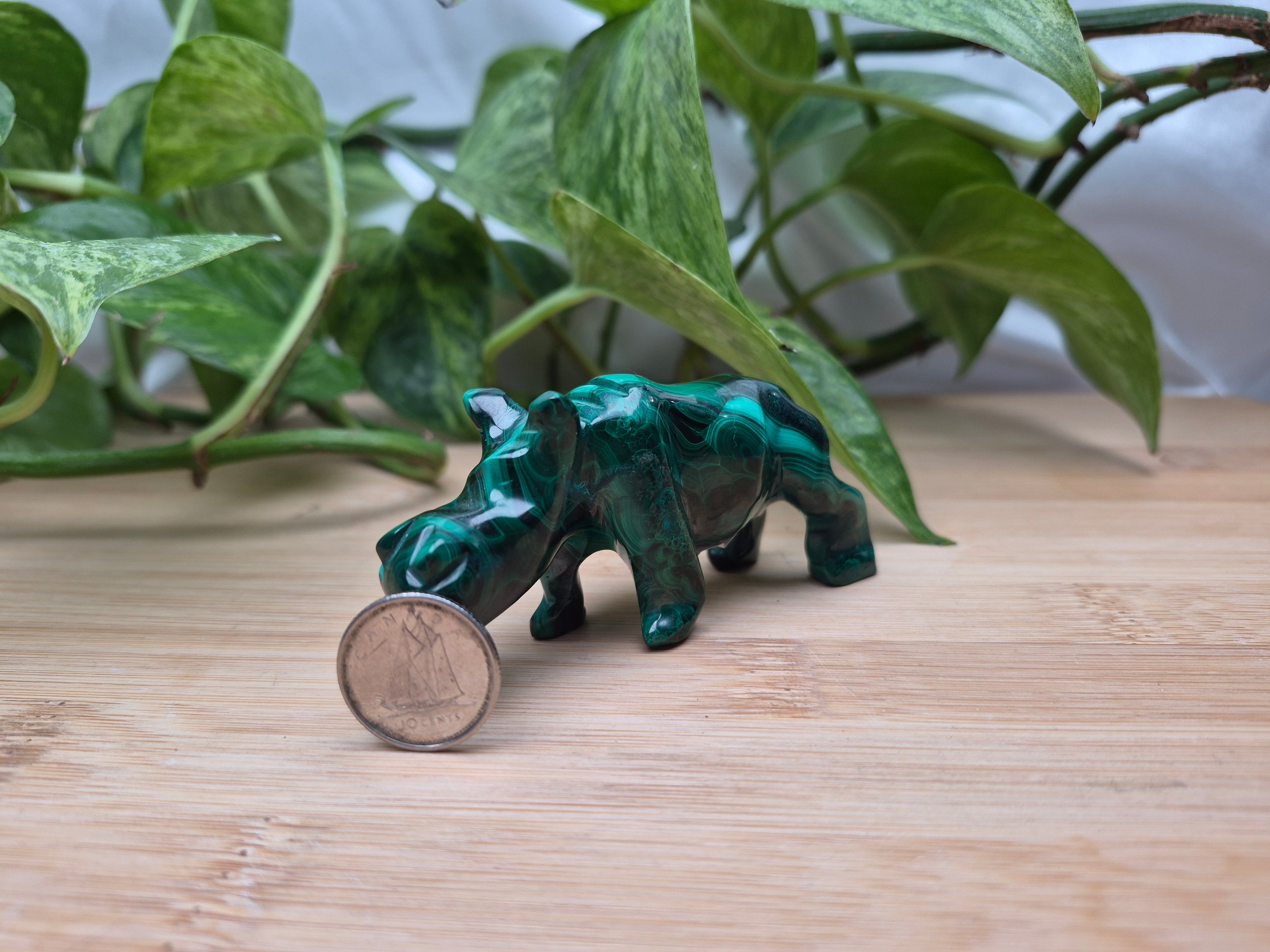 MALACHITE HIPPO