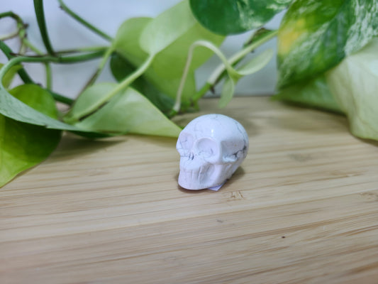 HOWLITE SKULL