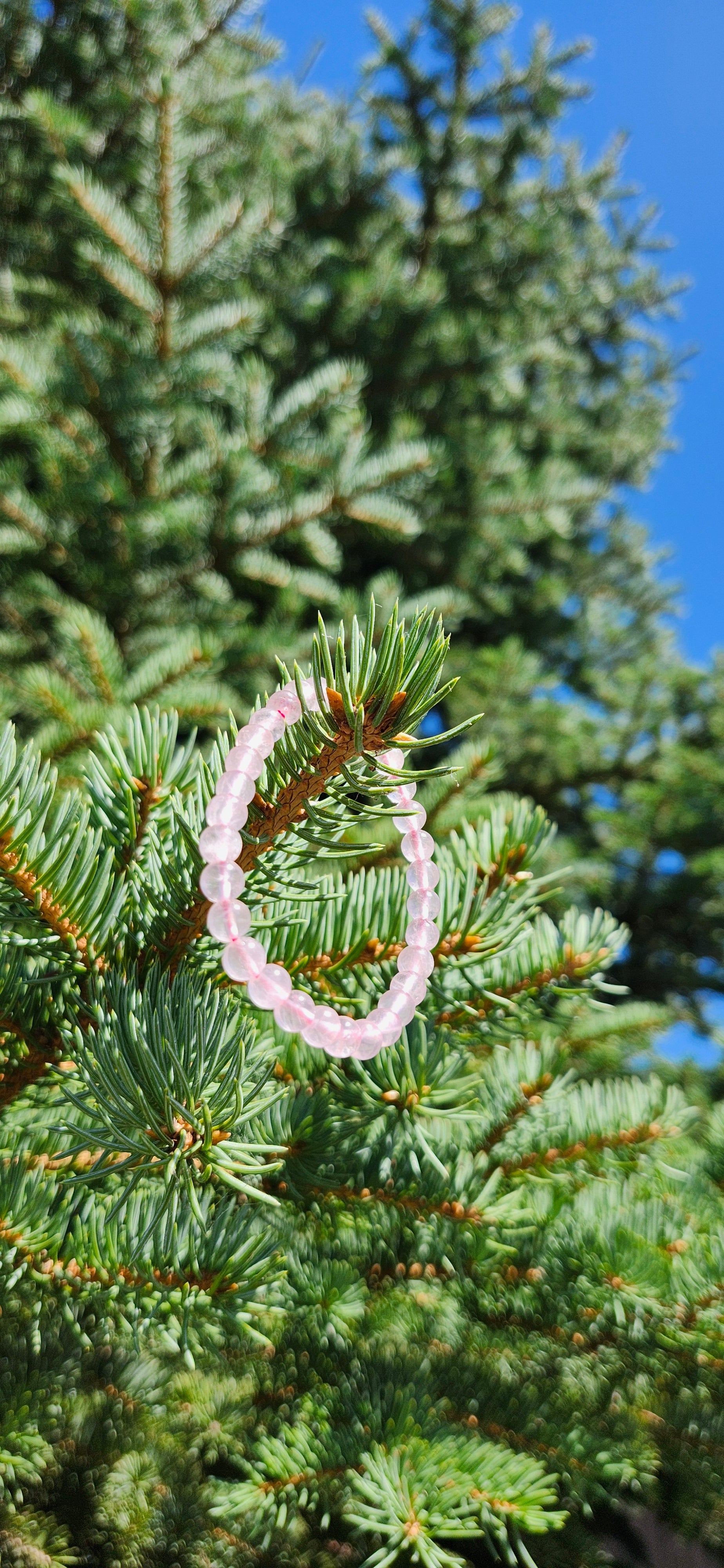 6mm ROSE QUARTZ BRACELET