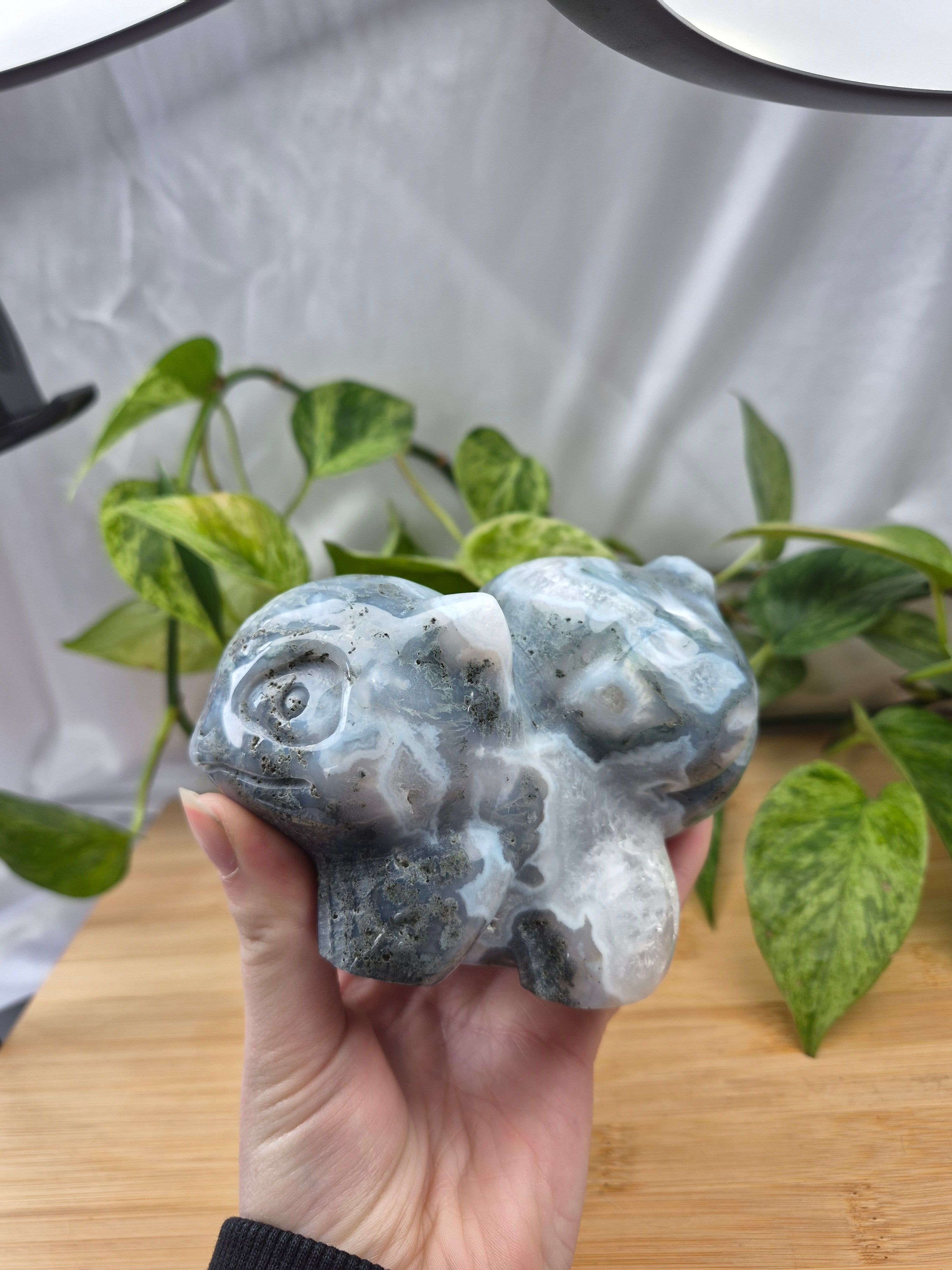 MOSS AGATE BULBASAUR XXL