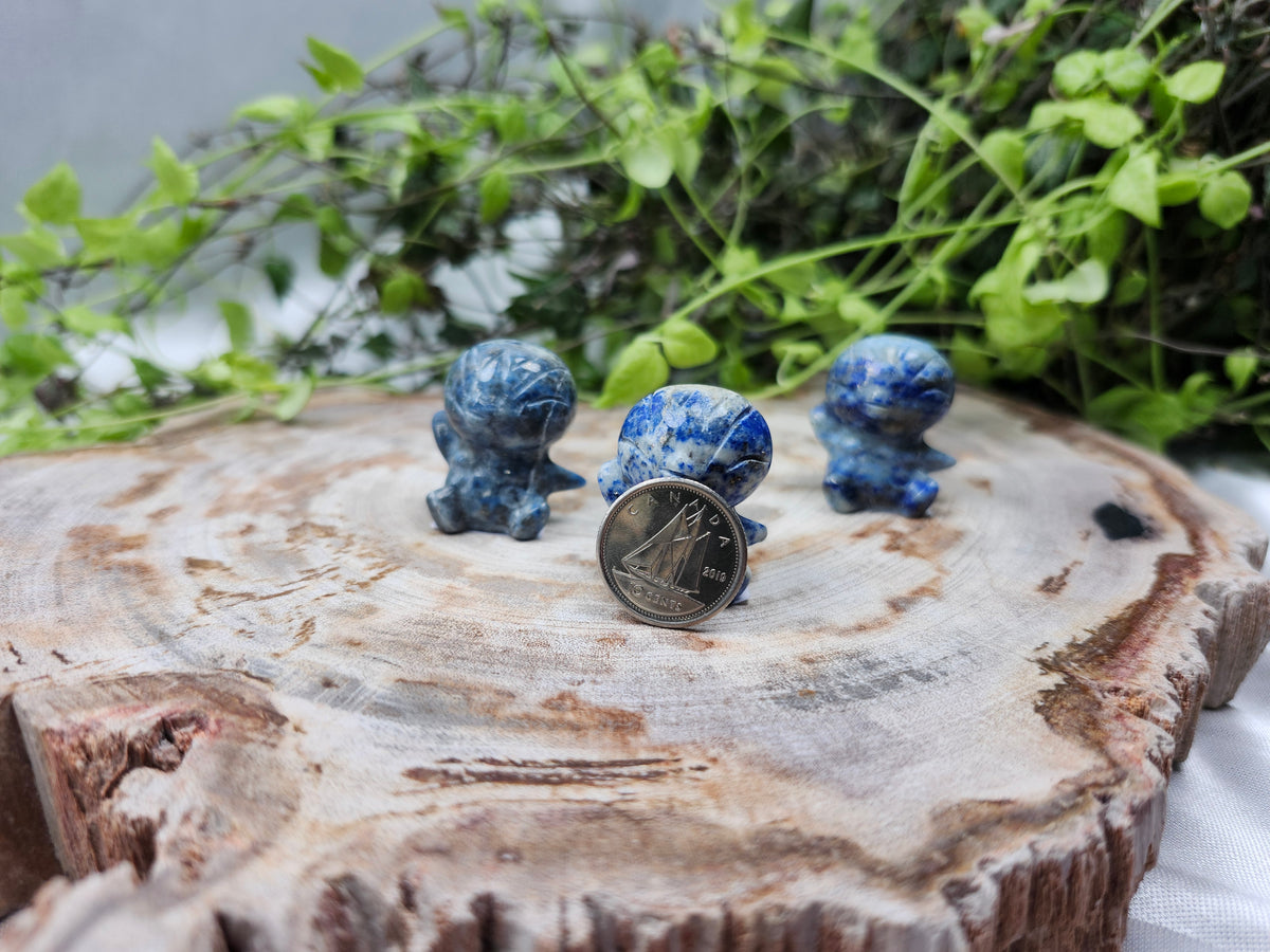 LAPIS LAZULI PIPLUP