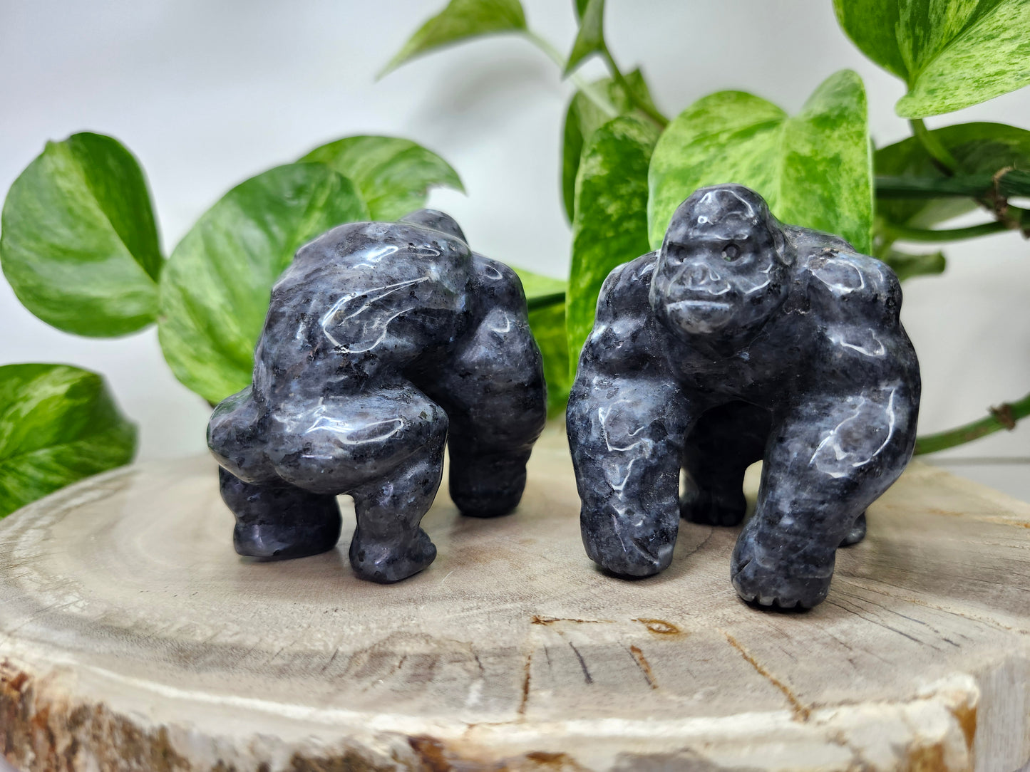 LARVIKITE GORILLA