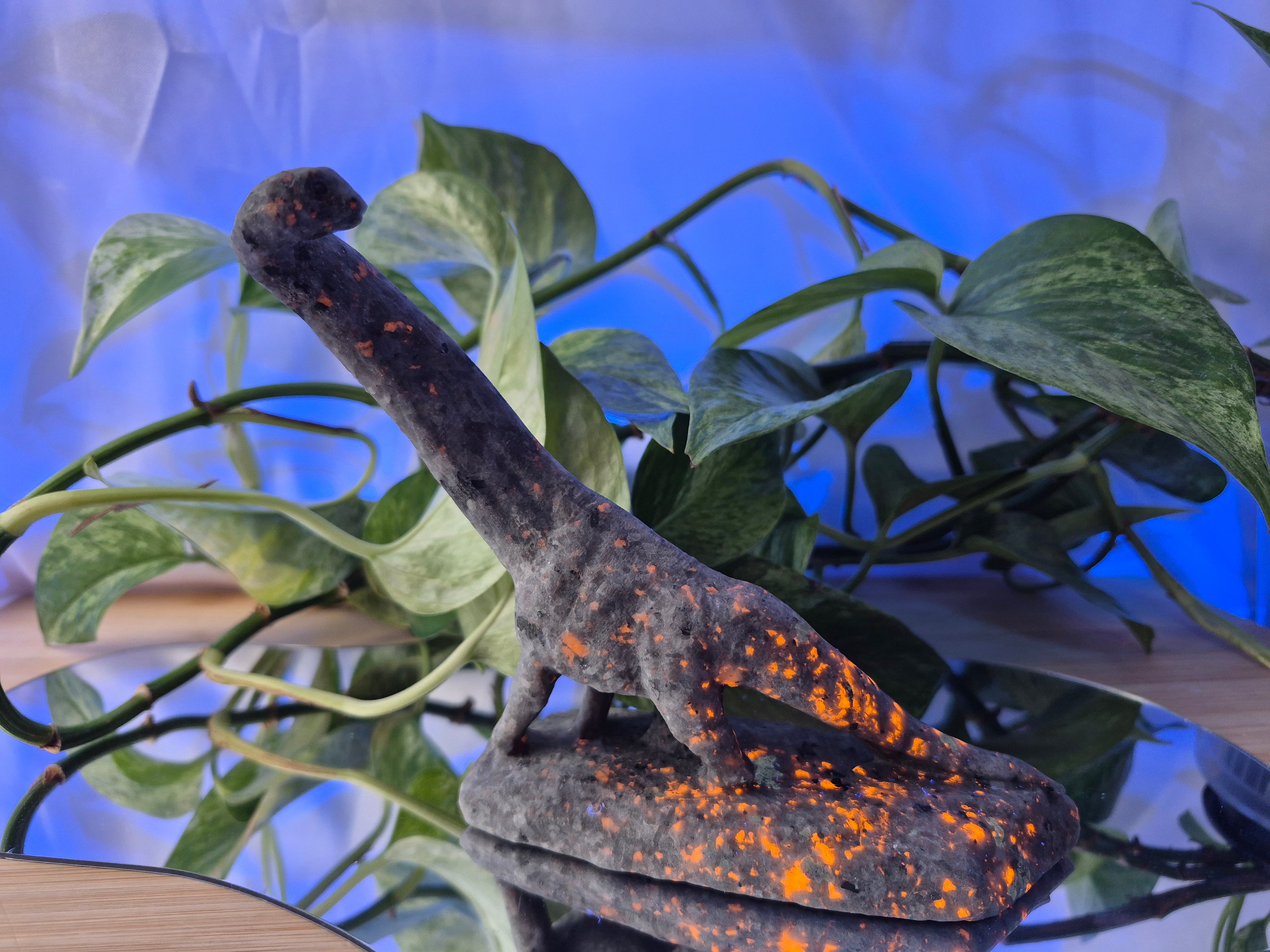 YOOPERLITE BRONTOSAURUS