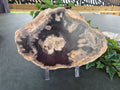PETRIFIED WOOD SLAB #5