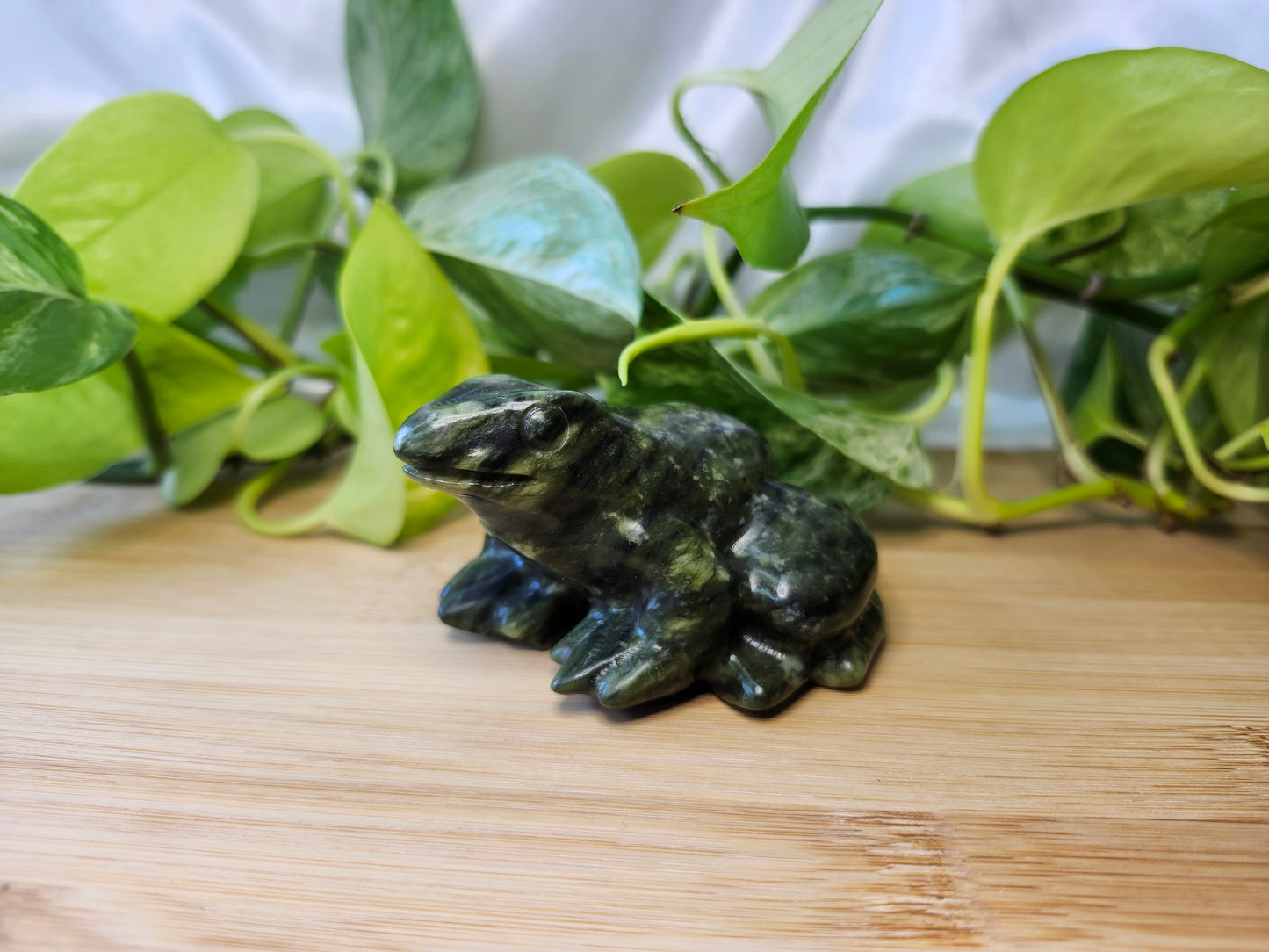 JADE FROG MED
