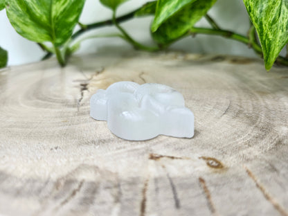 SELENITE SNAKE