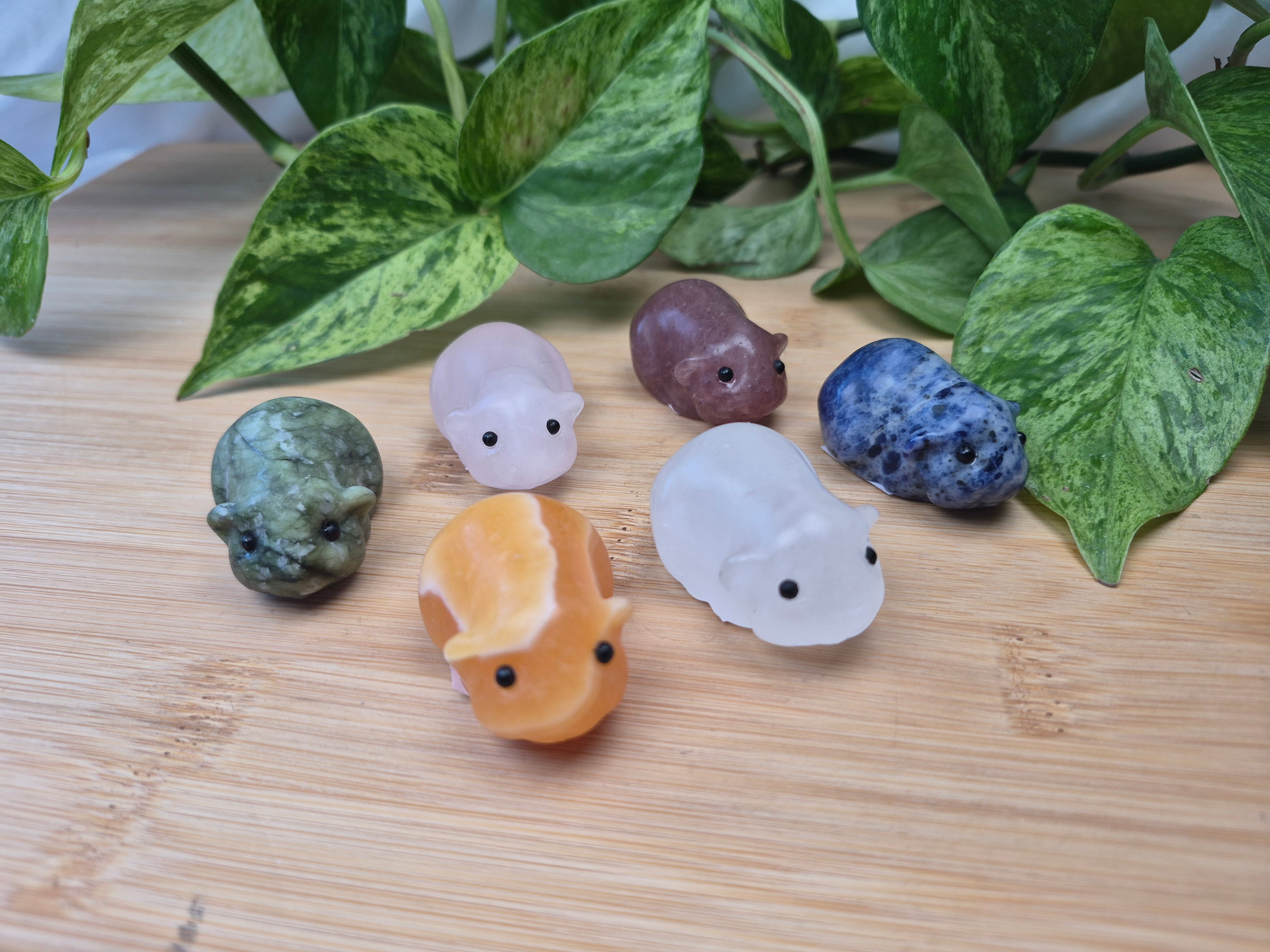 MIXED CRYSTAL HAMSTER
