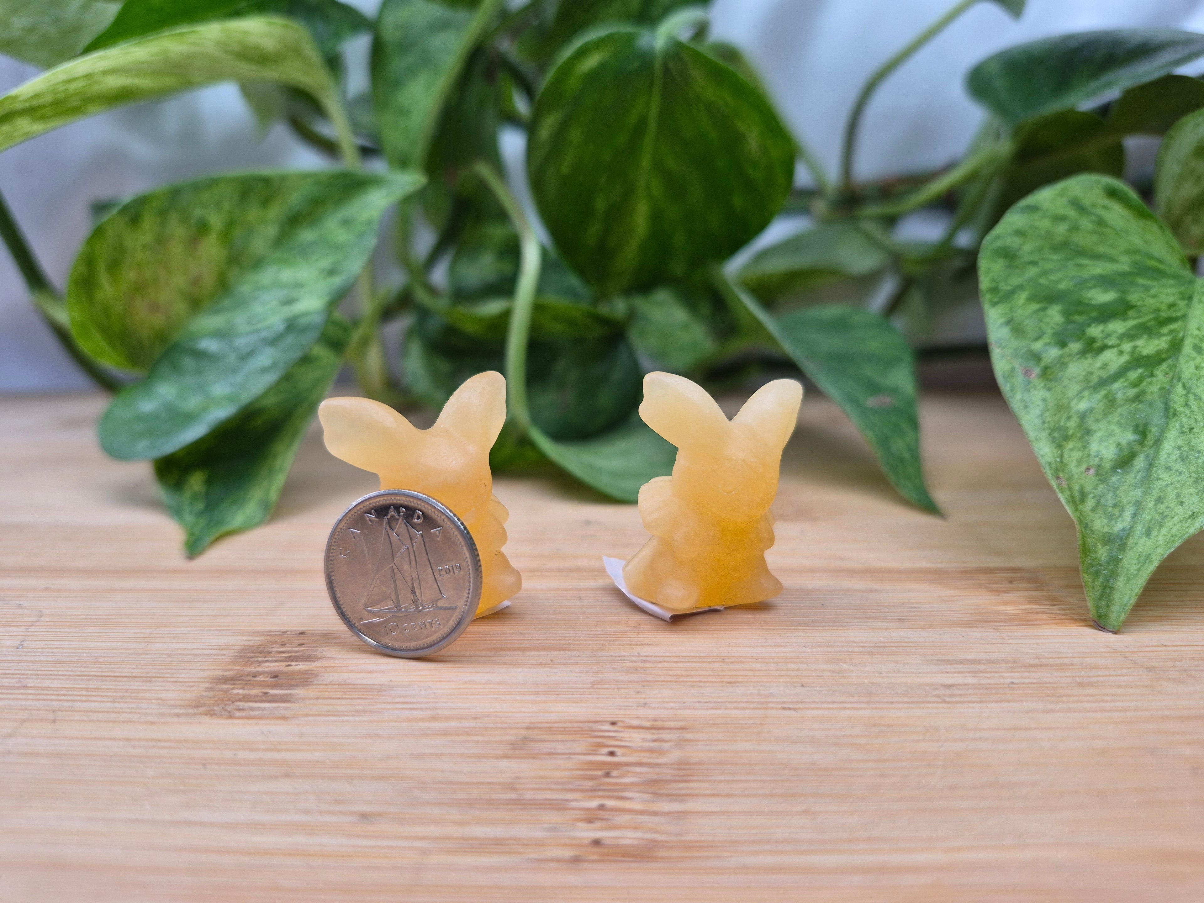 ORANGE CALCITE JOLTEON