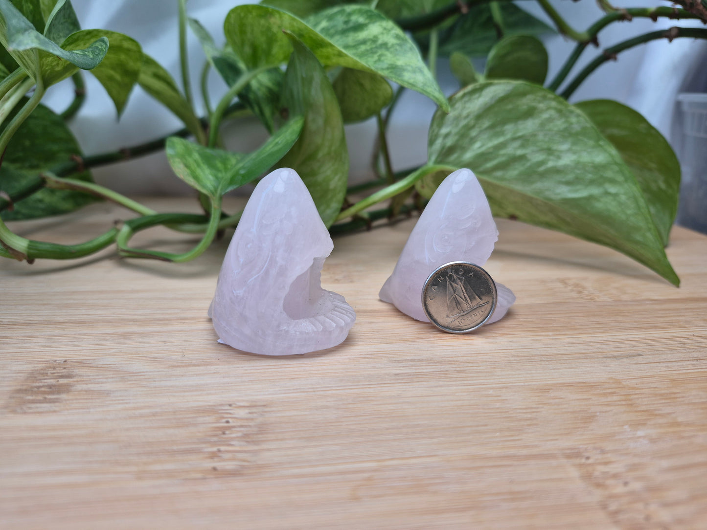 ROSE QUARTZ SHARK HEAD