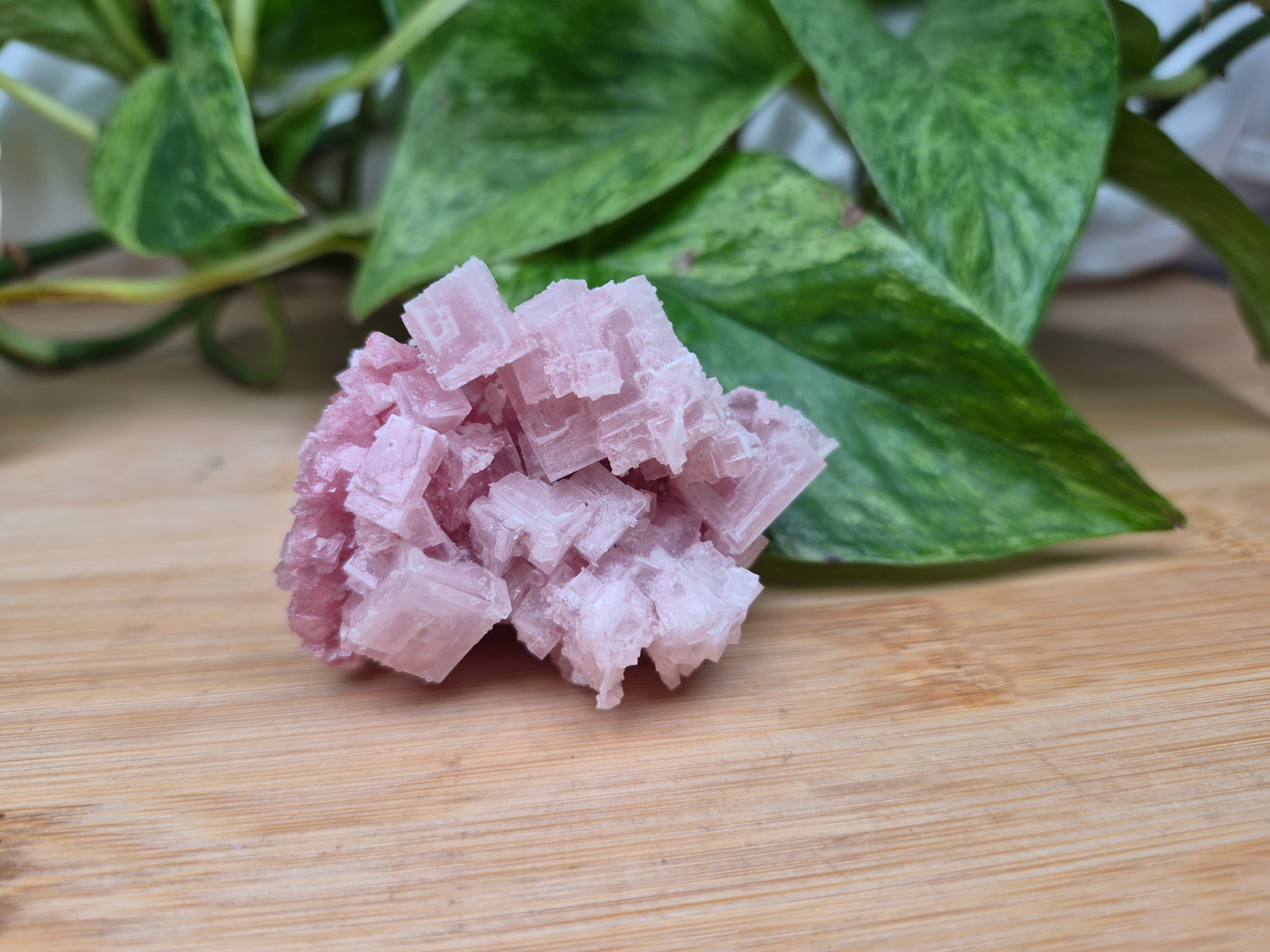 PINK HALITE SPECIMEN