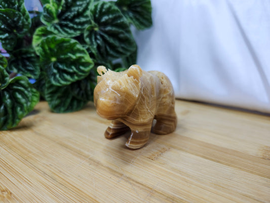 CHOCOLATE CALCITE BEAR