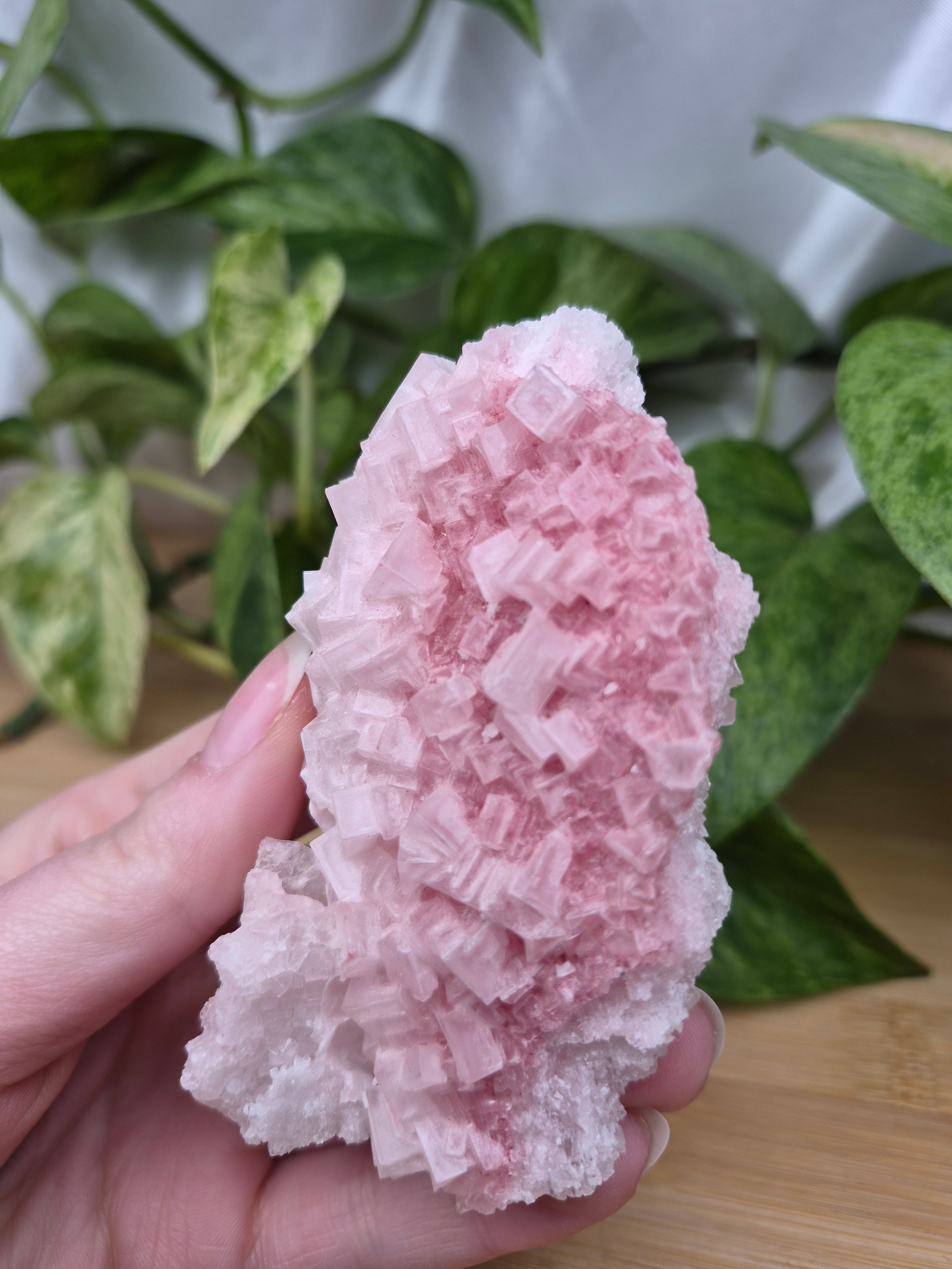 PINK HALITE SPECIMEN