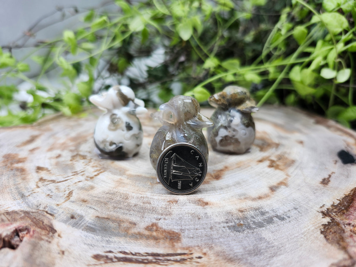 MOSS AGATE SMOLIV