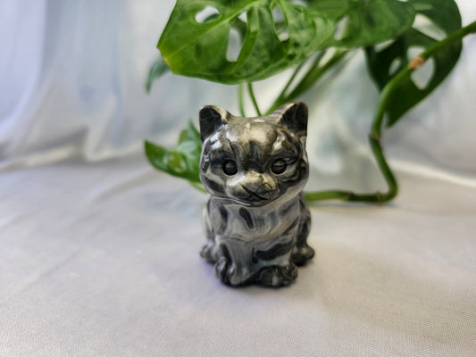 PICASSO JASPER SITTING CAT