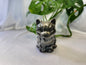 PICASSO JASPER SITTING CAT
