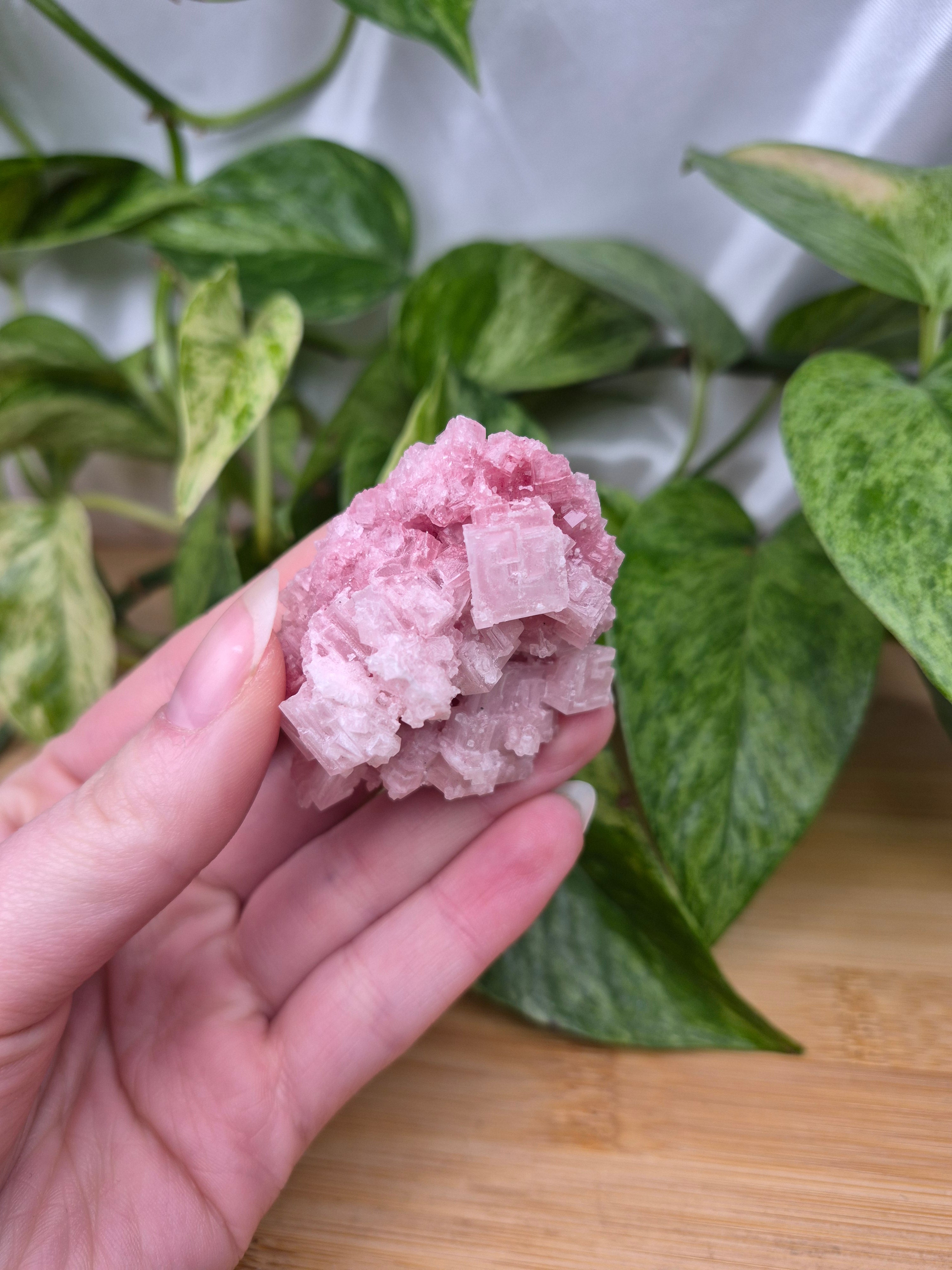 PINK HALITE SPECIMEN