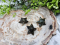 LABRADORITE STARMIE