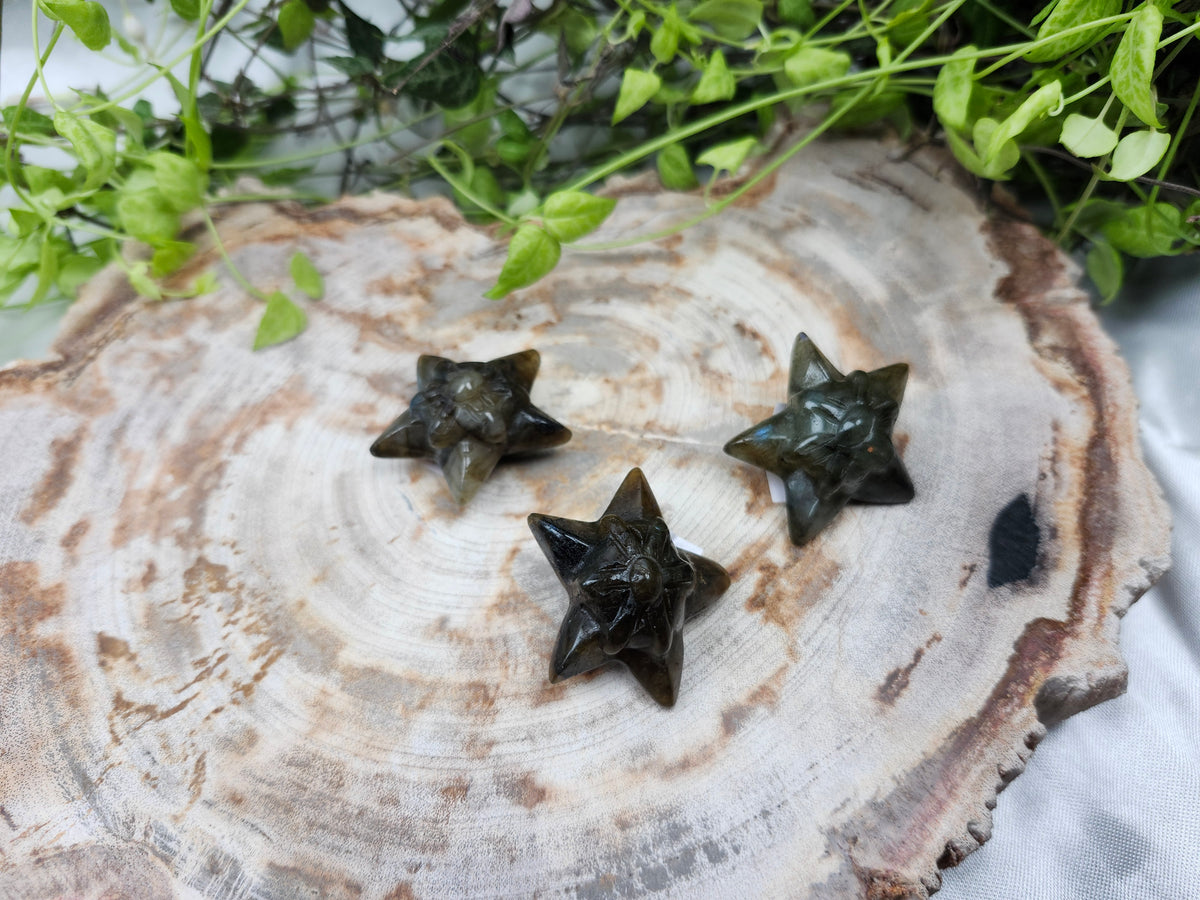 LABRADORITE STARMIE