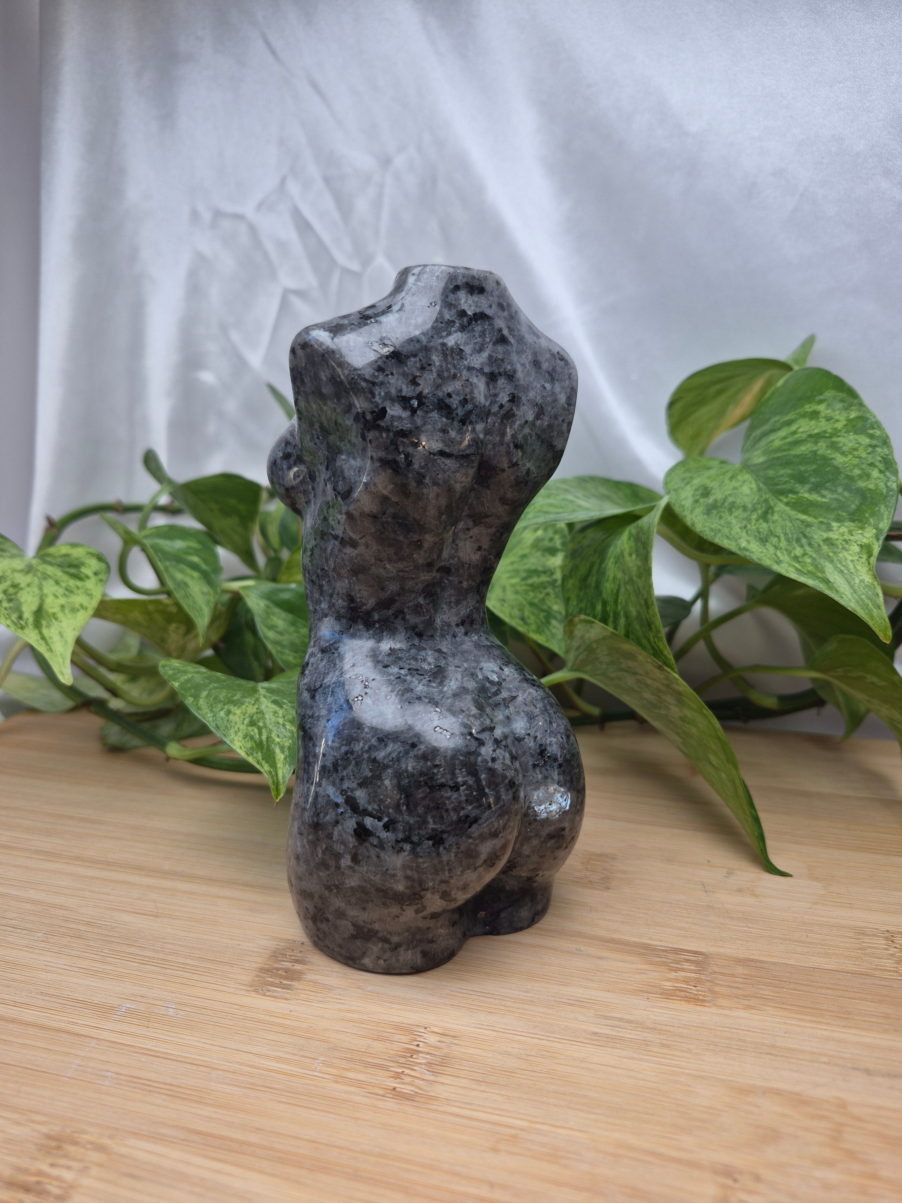 LARVIKITE GODDESS BODY XL