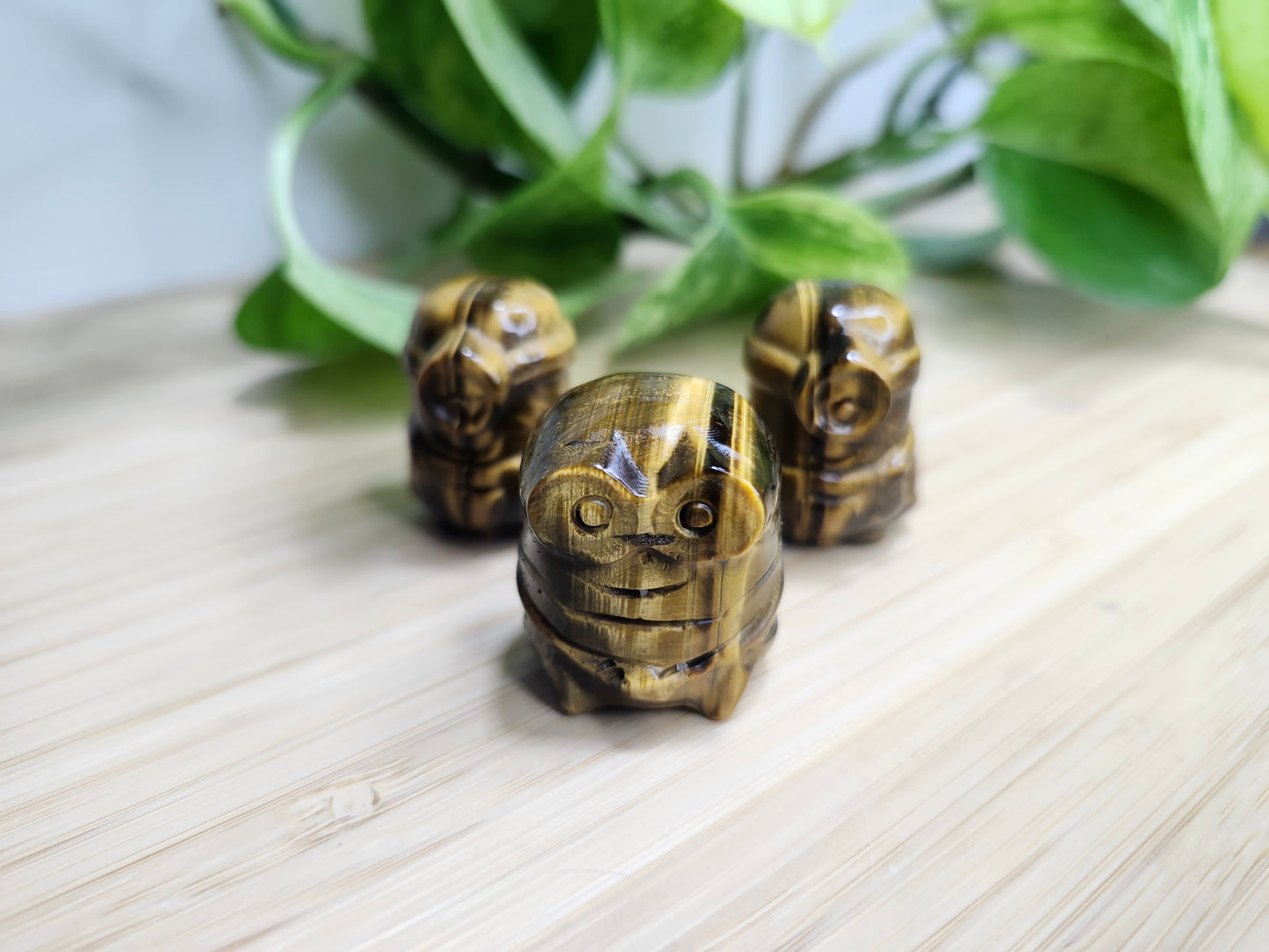 TIGERS EYE MINION