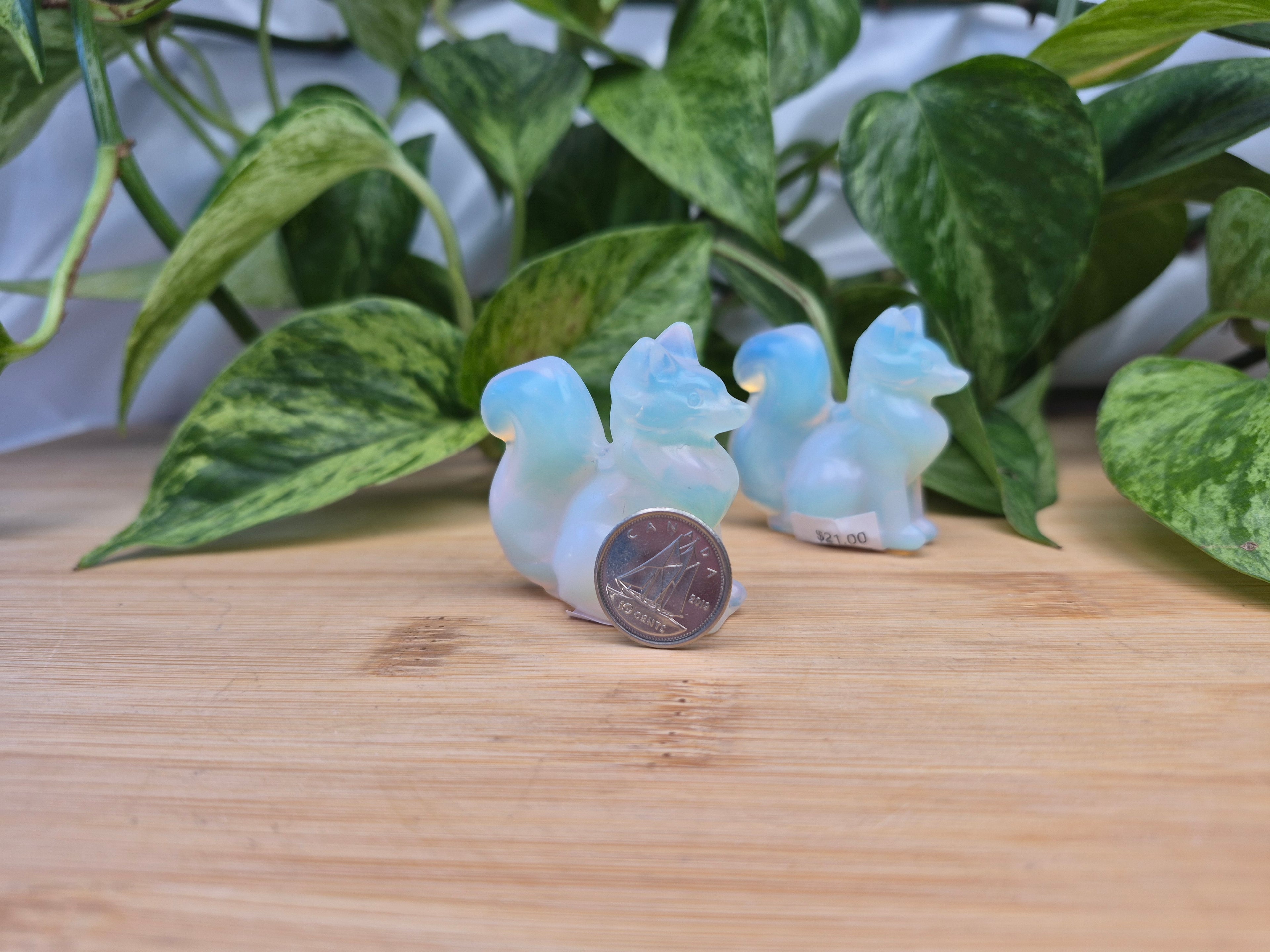 OPALITE FOX