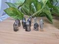 GARDEN QUARTZ TOWER 4g - 10g