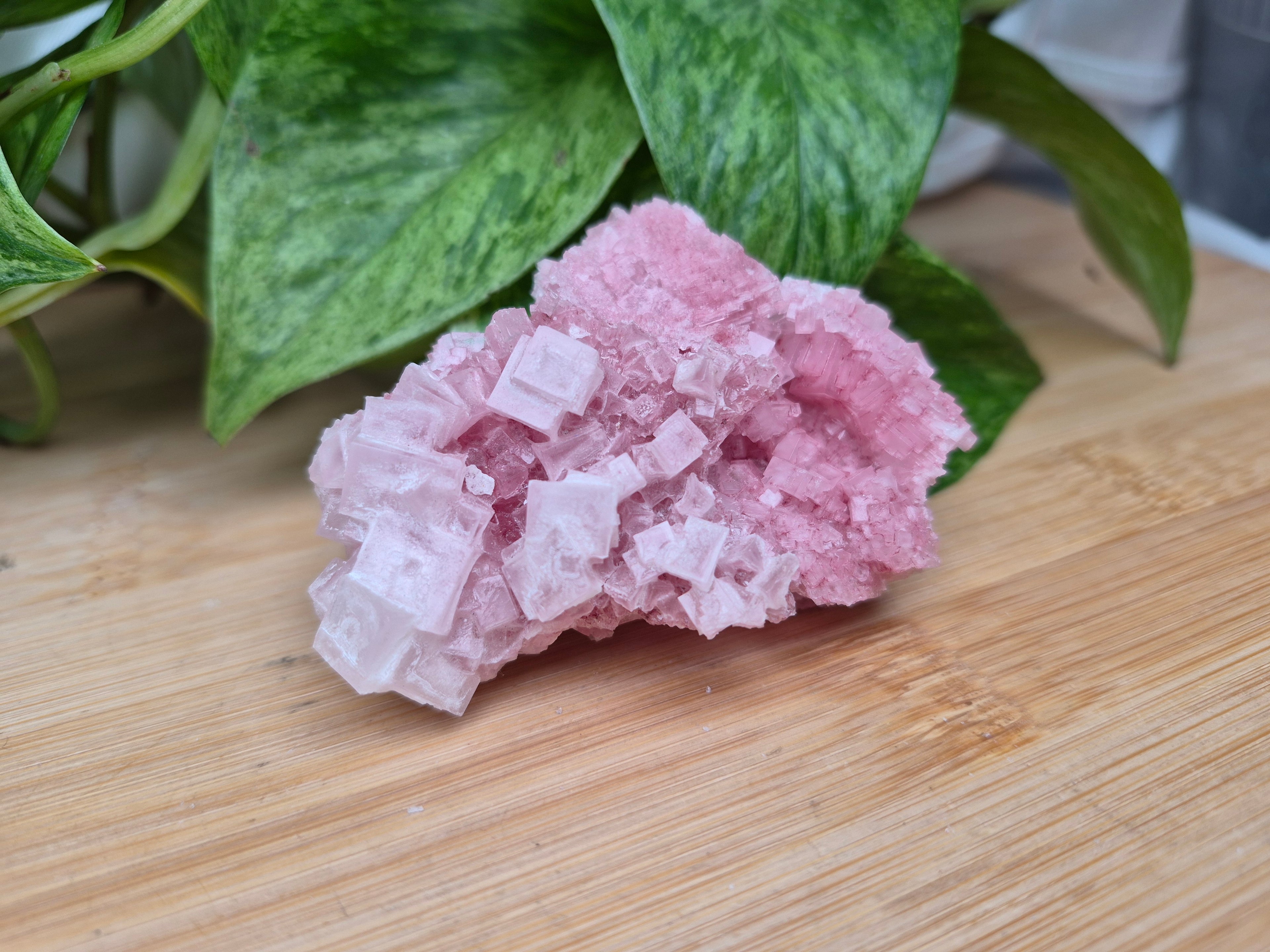 PINK HALITE SPECIMEN