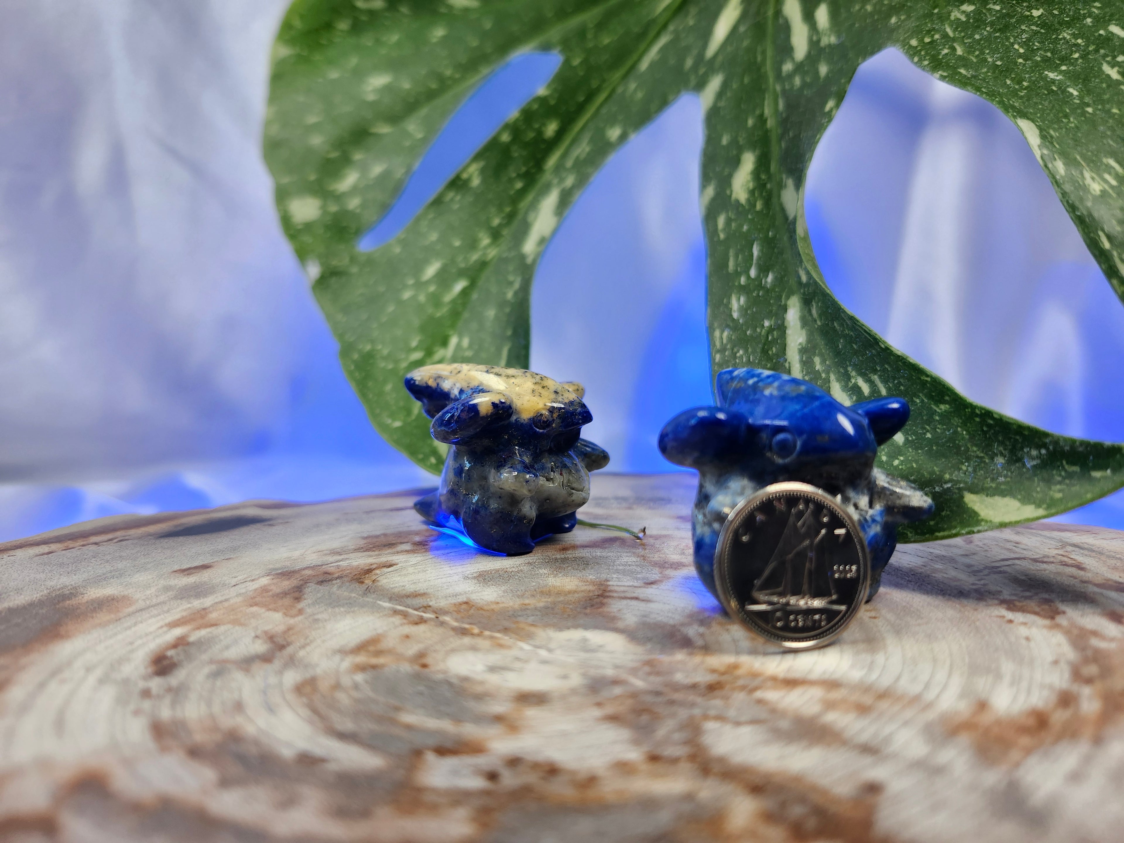 LAPIS LAZULI GIBLE