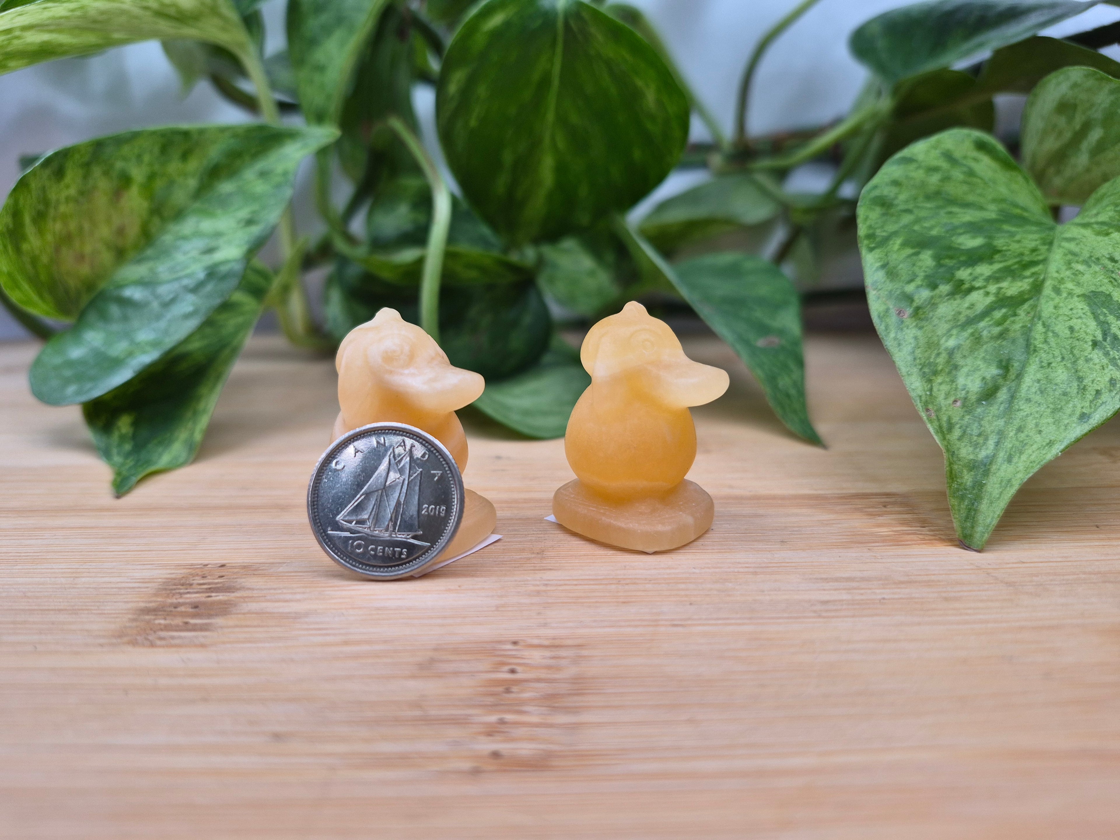 ORANGE CALCITE PSYDUCK