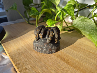 YOOPERLITE/LEOPARDITE TARANTULA