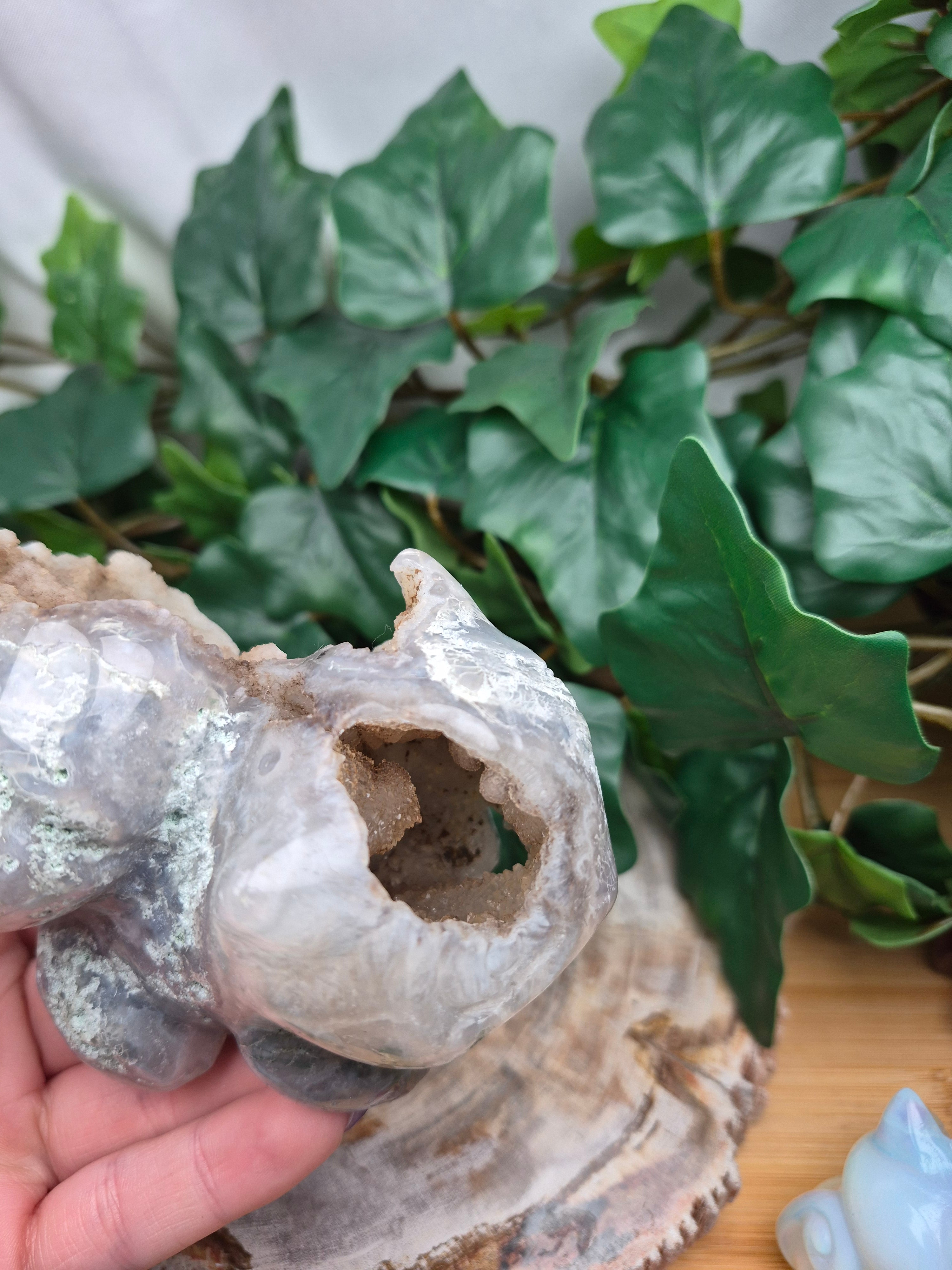 MOSS AGATE BULBASAUR