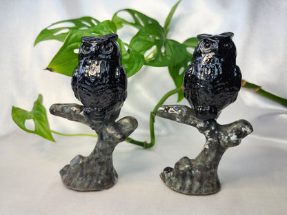 YOOPERLITE AND OBSIDIAN OWL