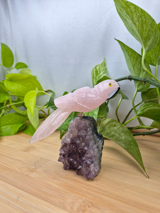 ROSE QUARTZ PARROT