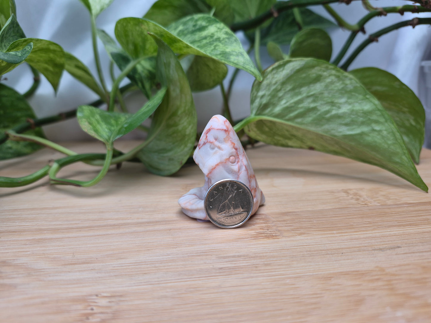 RED VEIN JASPER SHARK HEAD