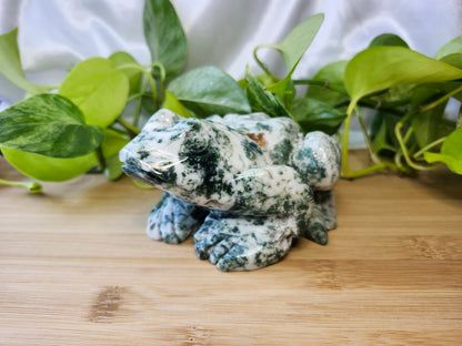 TREE AGATE FROG LG