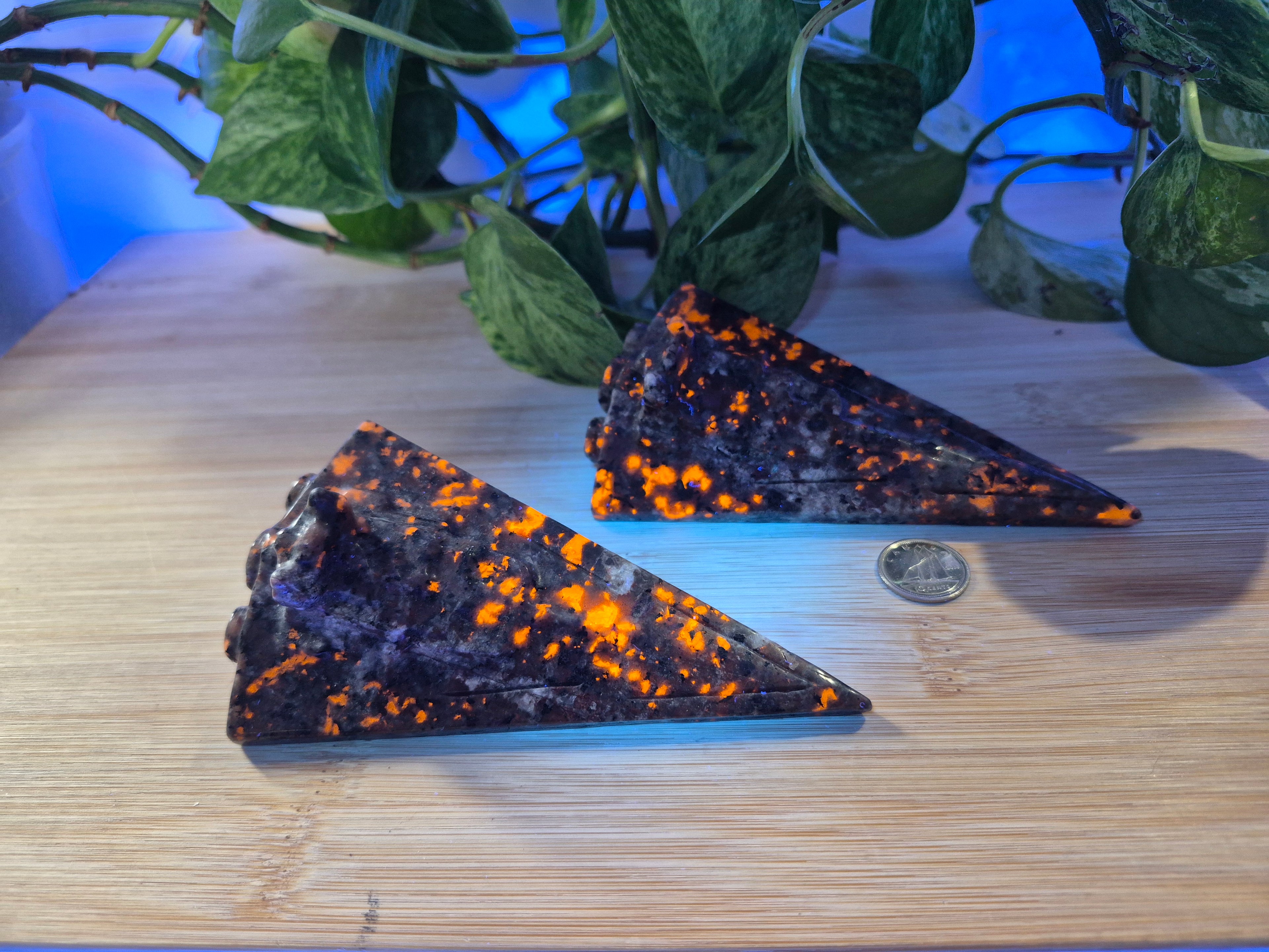 YOOPERLITE STAR DESTROYER