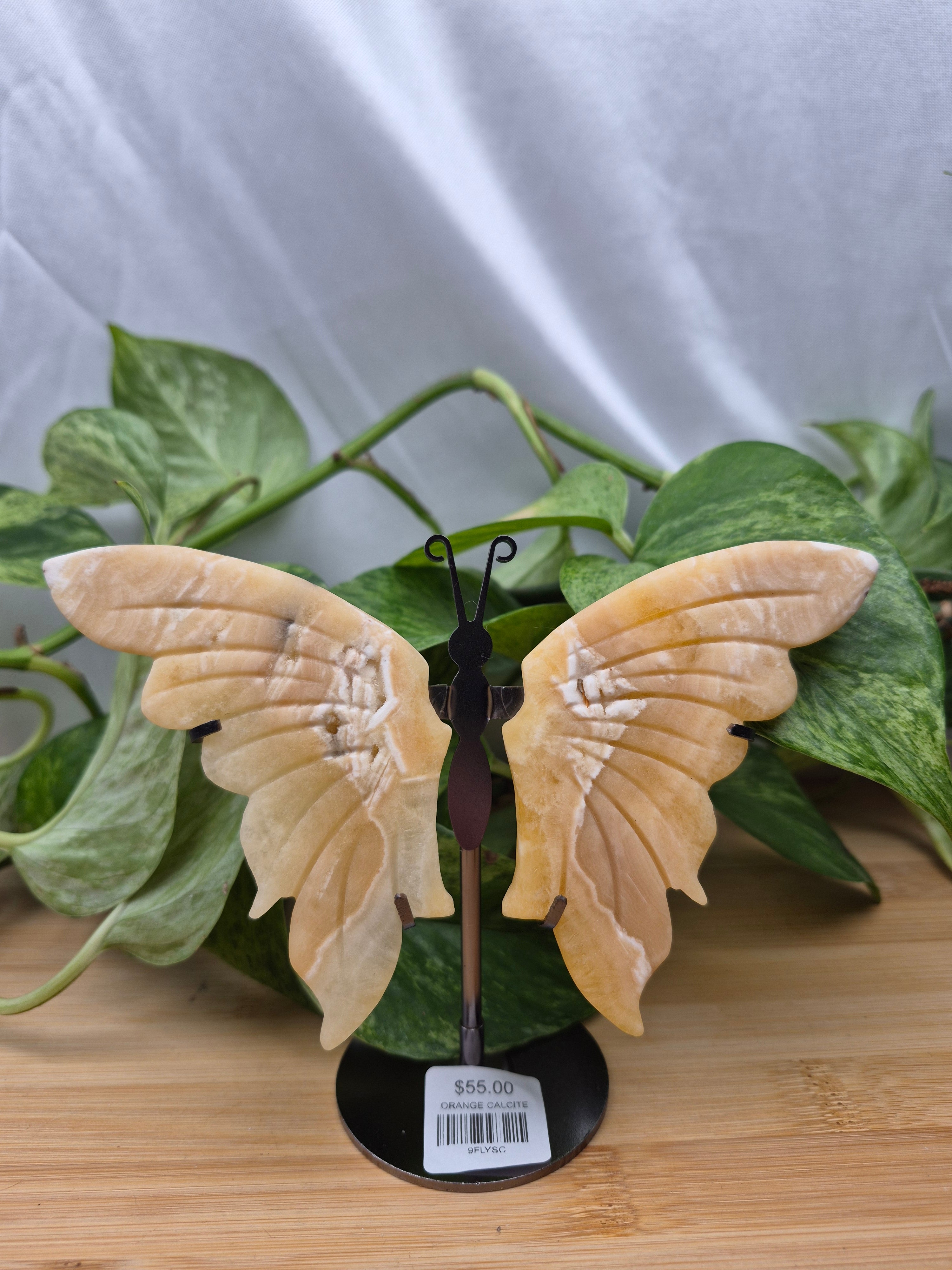 ORANGE CALCITE BUTTERFLY WINGS