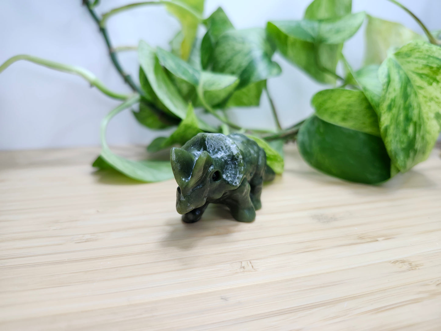 JADE TRICERATOPS