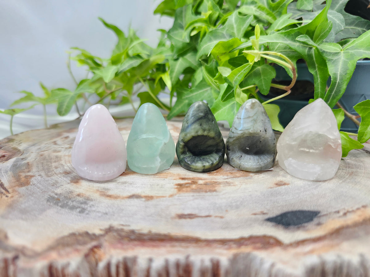 MIXED CRYSTAL SM SHARK HEAD