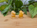 ORANGE CALCITE PSYDUCK