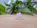 ROSE QUARTZ LICKITUNG
