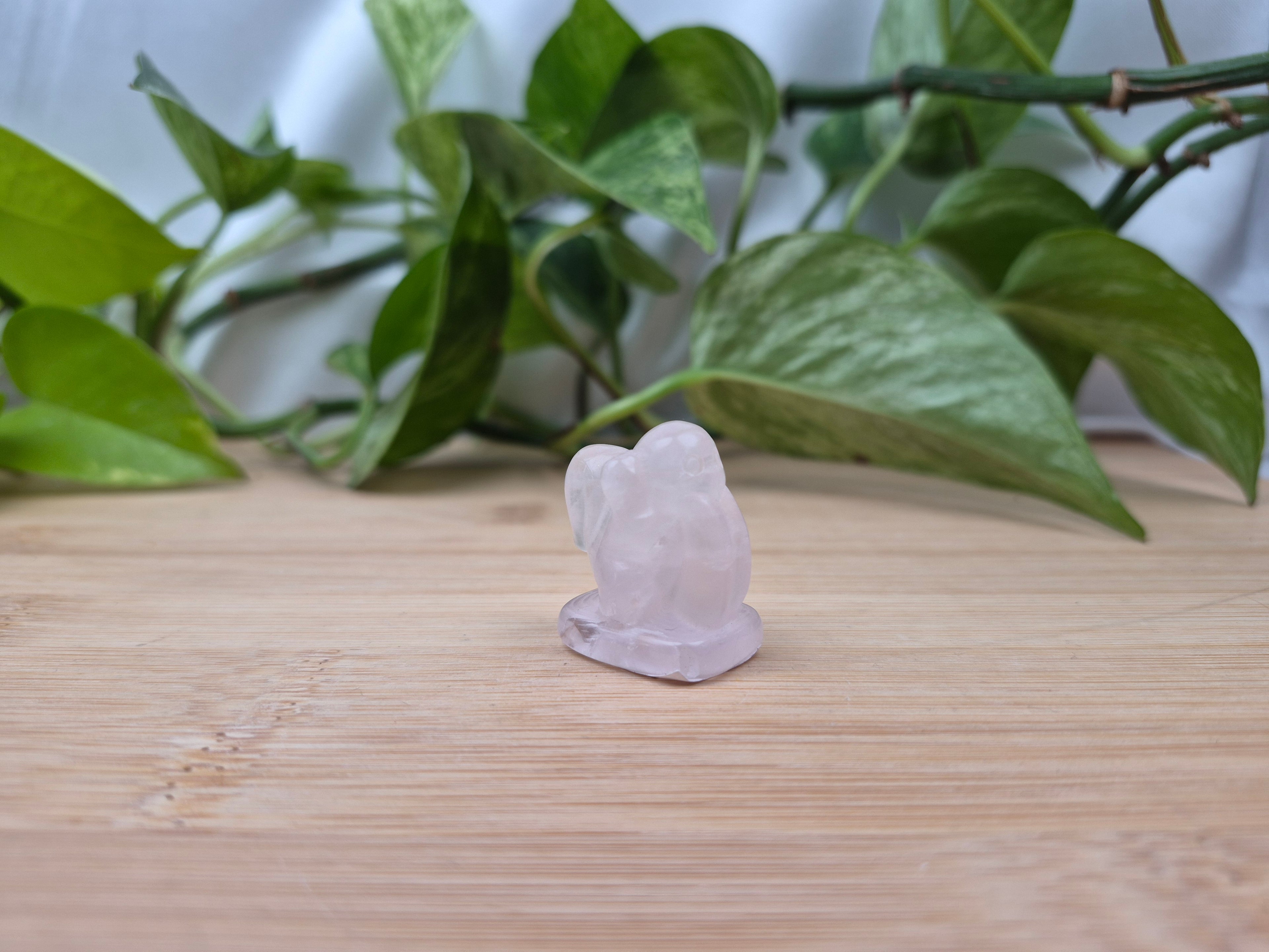 ROSE QUARTZ LICKITUNG
