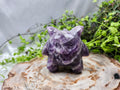 AMETHYST GENGAR